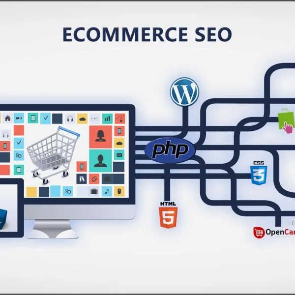 E-Commerce SEO by clicksclone