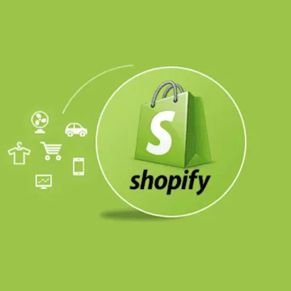 Shopify website development